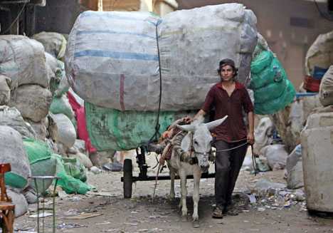 Les chiffonniers du Caire